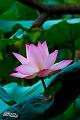 IMG-20160711-WA0080