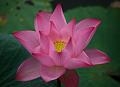 IMG-20160711-WA0093