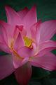 IMG-20160711-WA0094