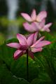 IMG-20160711-WA0095