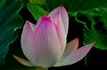 IMG-20160711-WA0100