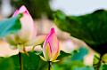 IMG-20160711-WA0105