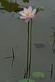 IMG-20160712-WA0000