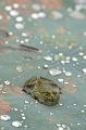 IMG-20160712-WA0002