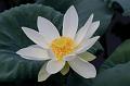 IMG-20160712-WA0005
