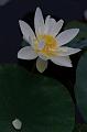 IMG-20160712-WA0006