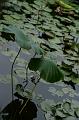 IMG-20160712-WA0011