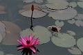 IMG-20160712-WA0012