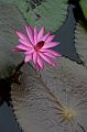 IMG-20160712-WA0016