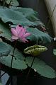IMG-20160712-WA0022