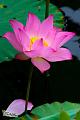 IMG-20160712-WA0023