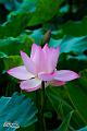 IMG-20160712-WA0038