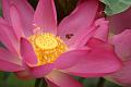 IMG-20160712-WA0057