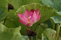 IMG-20160712-WA0058