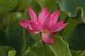 IMG-20160712-WA0059