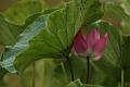 IMG-20160712-WA0060