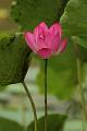 IMG-20160712-WA0061