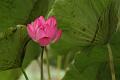 IMG-20160712-WA0063