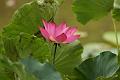IMG-20160712-WA0064