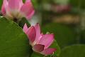 IMG-20160712-WA0065