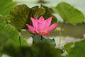 IMG-20160712-WA0066