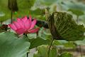 IMG-20160712-WA0069
