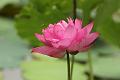IMG-20160712-WA0071