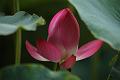 IMG-20160712-WA0072