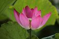 IMG-20160712-WA0074