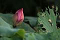 IMG-20160712-WA0079