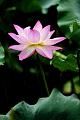 IMG-20160714-WA0010