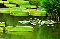 IMG-20160716-WA0025