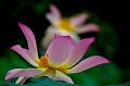 IMG-20160716-WA0032