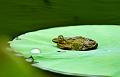 IMG-20160716-WA0034