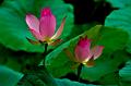 IMG-20160716-WA0038