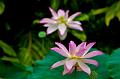 IMG-20160716-WA0039