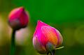 IMG-20160716-WA0041