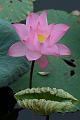IMG-20160718-WA0000