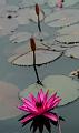 IMG-20160718-WA0003