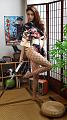 IMG-20260813-WA0043